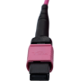 SYNOXX 16F MPO-MPO TYPE B OM4 5M