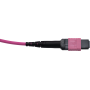 SYNOXX 16F OM4 Type B MPO Trunk Cable MPO Female 10m | 16FMTPOM4-10M